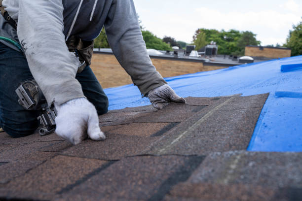 Best Residential Roofing Contractor  in Essexville, MI
