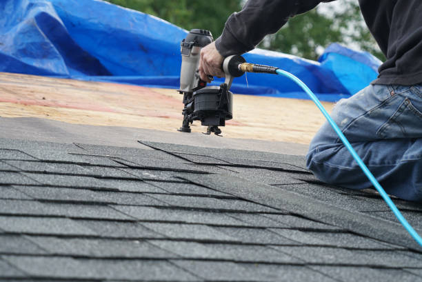 Best Residential Roofing Contractor  in Essexville, MI